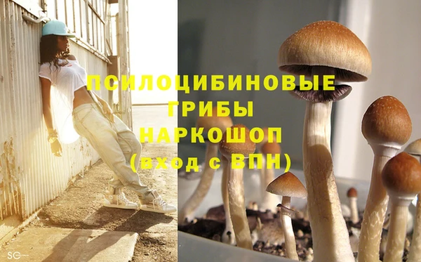 mix Аркадак