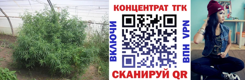 купить наркоту  Джанкой  ТГК вейп с тгк 