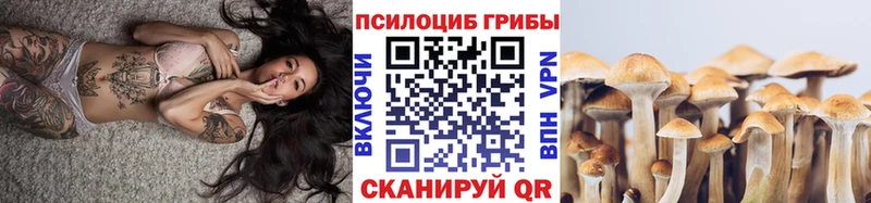 Псилоцибиновые грибы мицелий  blacksprut онион  маркетплейс клад  Джанкой 